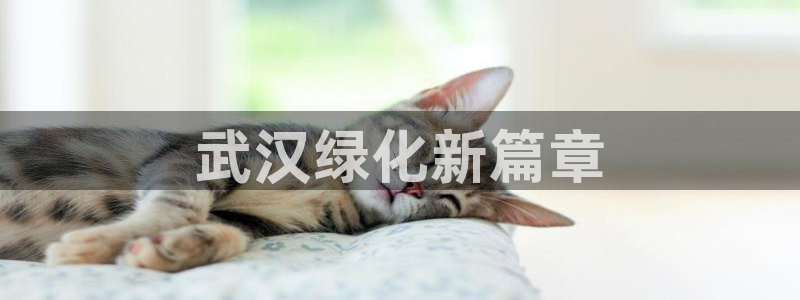 亿万先生情侣车有什么用：武汉绿化新篇章