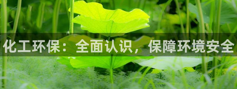 亿万先生007网页登录：化工环保：全面认识，保障环境安全