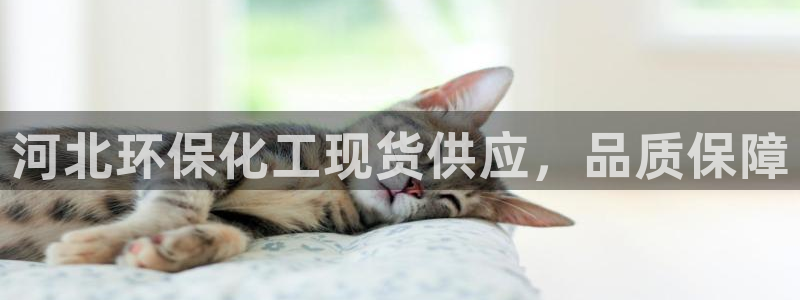 亿万先生网址生：河北环保化工现货供应，品质保障