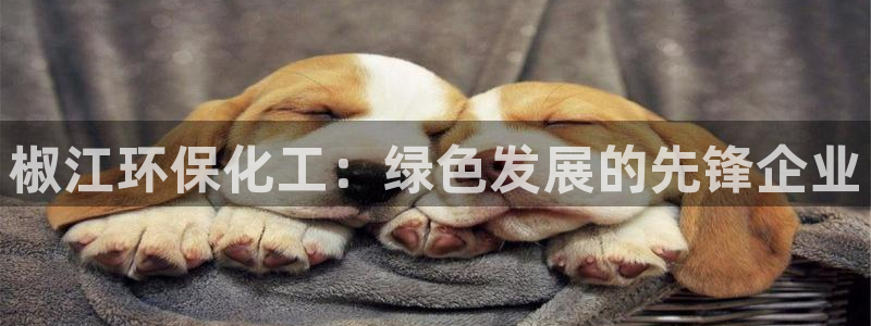 亿万官网手机登录：椒江环保化工：绿色发展的先锋企业
