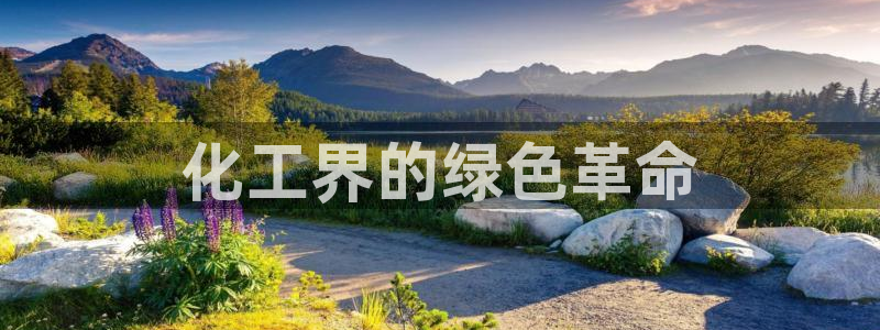 亿万先生官方网站首页：化工界的绿色革命