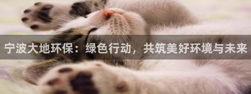 电视剧亿万：宁波大地环保：绿色行动，共筑美好环境与未来