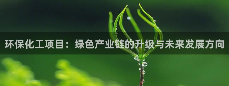 亿万千百十：环保化工项目：绿色产业链的升级与未来发展方向