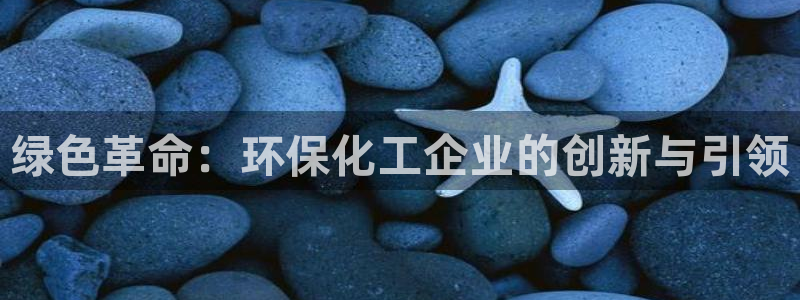 亿万先生充电桩：绿色革命：环保化工企业的创新与引领