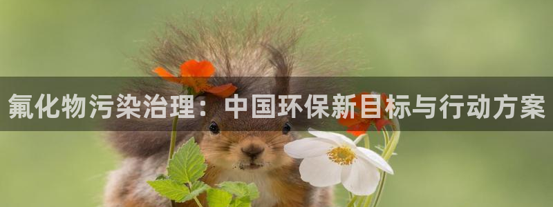 亿万先生合并最新消息：氟化物污染治理：中国环保新目标与行动方案
