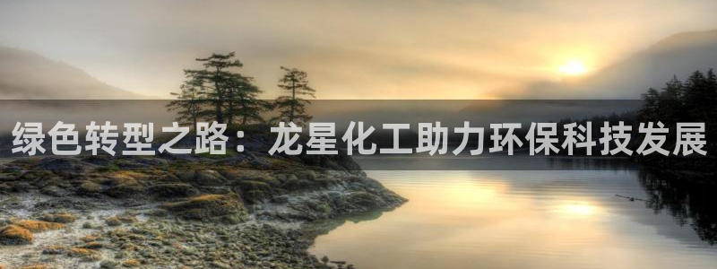 亿万先生现在的网址谁知道：绿色转型之路：龙星化工助力环保科技发展