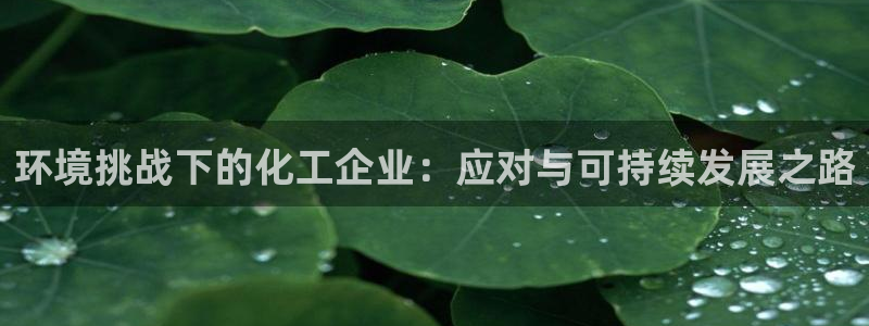亿万先生手机版：环境挑战下的化工企业：应对与可持续发展之路