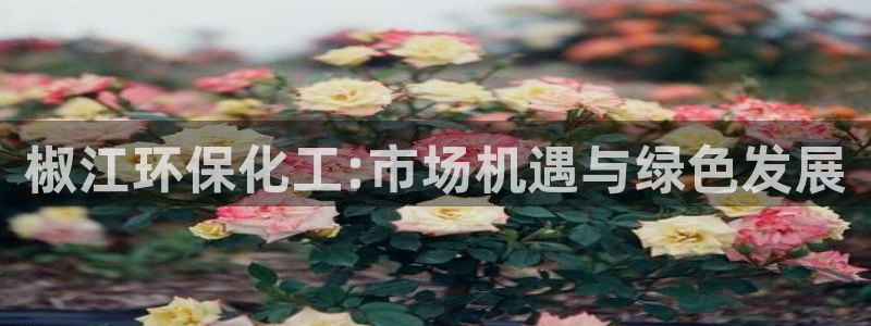 mr001亿万先生：椒江环保化工:市场机遇与绿色发展