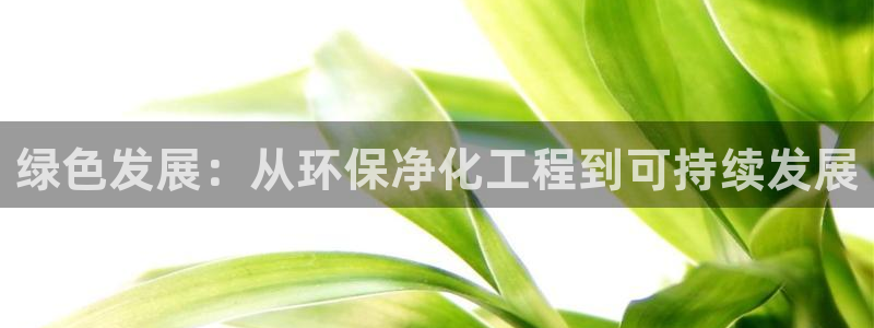 亿万先生官方网站客户端下载安装最新版：绿色发展：从环保净化工程到可持续发展