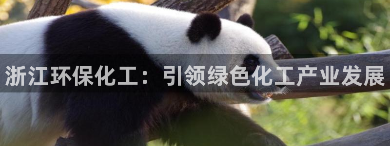 亿万网络：浙江环保化工：引领绿色化工产业发展