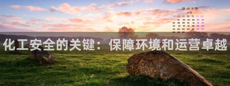 亿万先生官方网站首页：化工安全的关键：保障环境和运营卓越