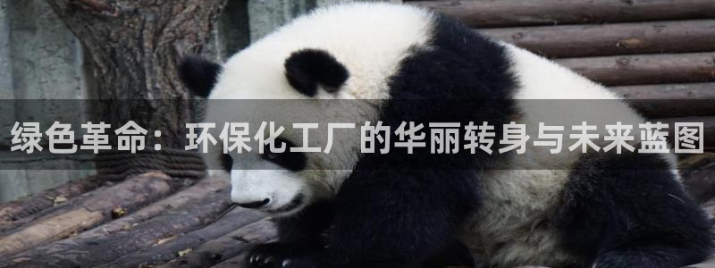 亿万先生：绿色革命：环保化工厂的华丽转身与未来蓝图
