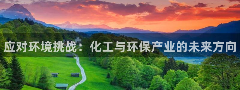 亿万首富游戏：应对环境挑战：化工与环保产业的未来方向