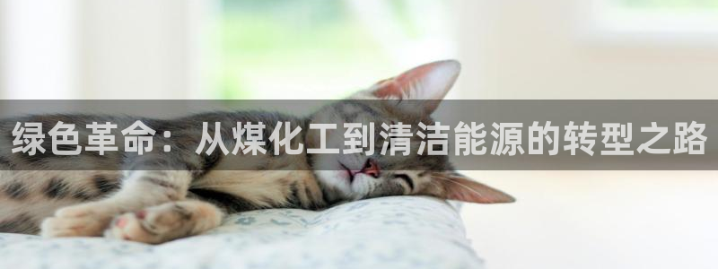 亿万下载：绿色革命：从煤化工到清洁能源的转型之路
