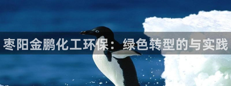 亿万先生客服：枣阳金鹏化工环保：绿色转型的与实践