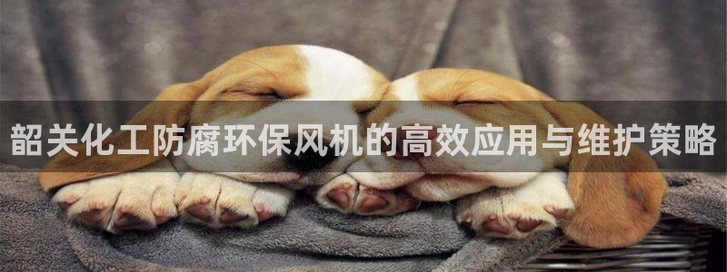 亿万堂官网：韶关化工防腐环保风机的高效应用与维护策略