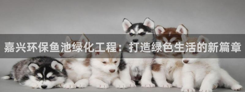 亿万先生mr014：嘉兴环保鱼池绿化工程：打造绿色生活的新篇章