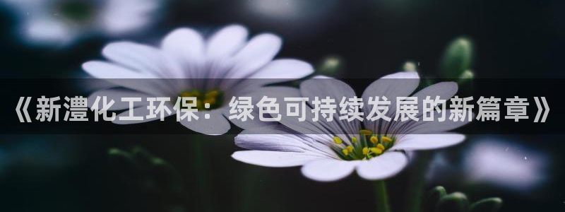 亿万先生mr008：《新澧化工环保：绿色可持续发展的新篇章》