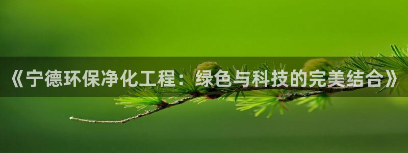 亿万先生007网页登录不了：《宁德环保净化工程：绿色与科技的完美结合》