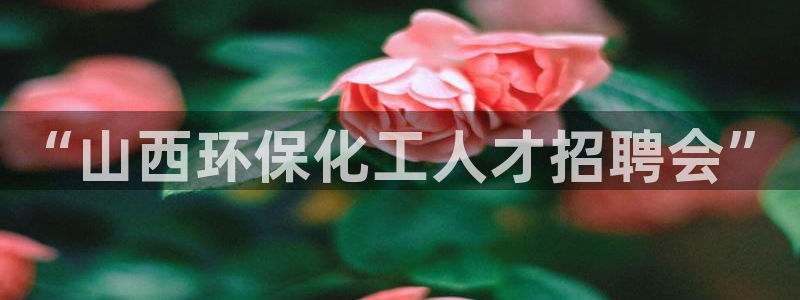 亿万先生网页版：“山西环保化工人才招聘会”