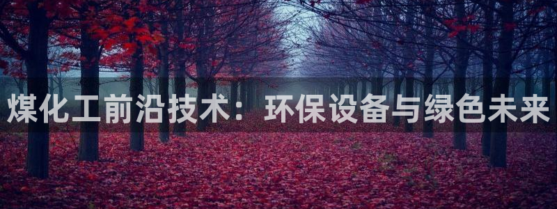 亿万国际游戏官网：煤化工前沿技术：环保设备与绿色未来
