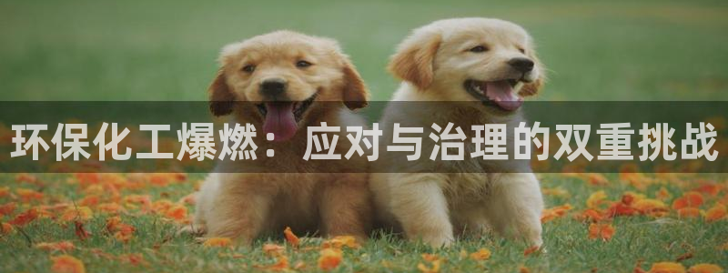 亿万先生mr网址：环保化工爆燃：应对与治理的双重挑战