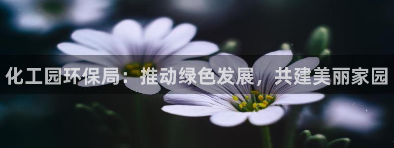 亿万app下载：化工园环保局：推动绿色发展，共建美丽家园