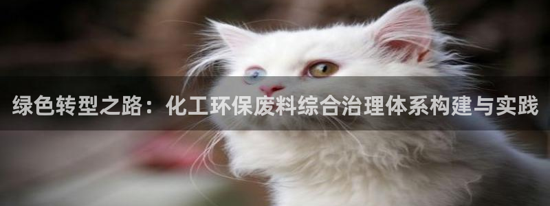 亿万先生mr网址：绿色转型之路：化工环保废料综合治理体系构建与实践
