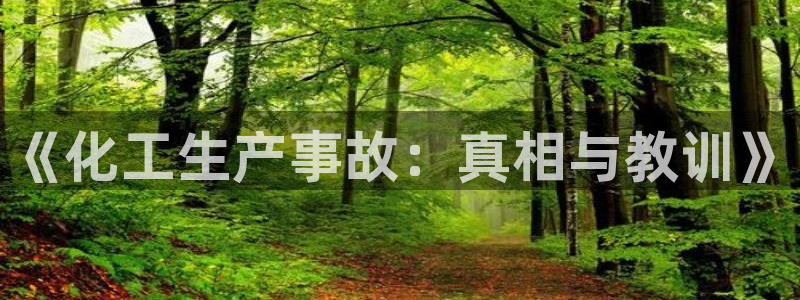 亿万网络科技有限公司ceo：《化工生产事故：真相与教训》