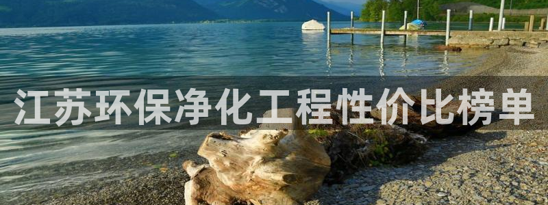 亿万网友在线实时为您解答问题：江苏环保净化工程性价比榜单