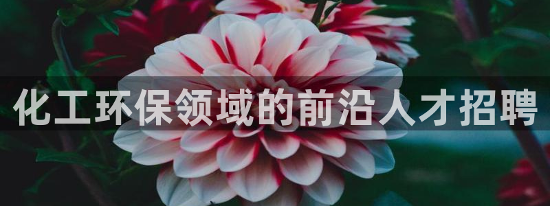 亿万笞人：化工环保领域的前沿人才招聘
