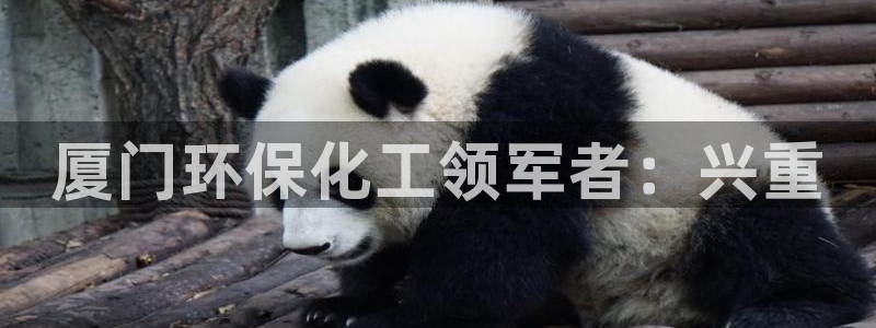 亿万先生合并：厦门环保化工领军者：兴重