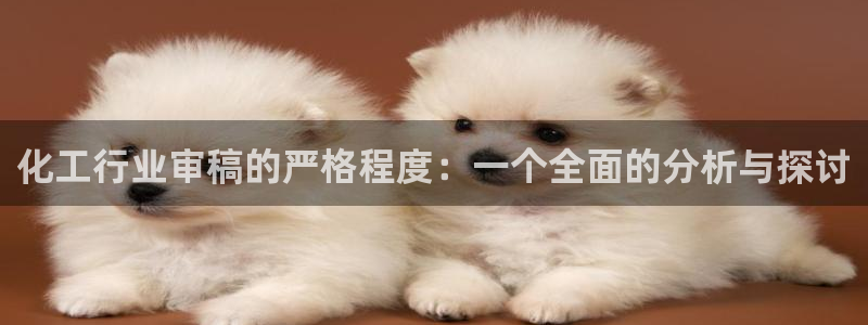 亿万先生客服联系方式查询：化工行业审稿的严格程度：一个全面的分析与探讨