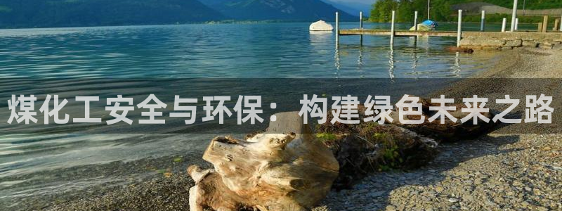 亿万先生游戏：煤化工安全与环保：构建绿色未来之路