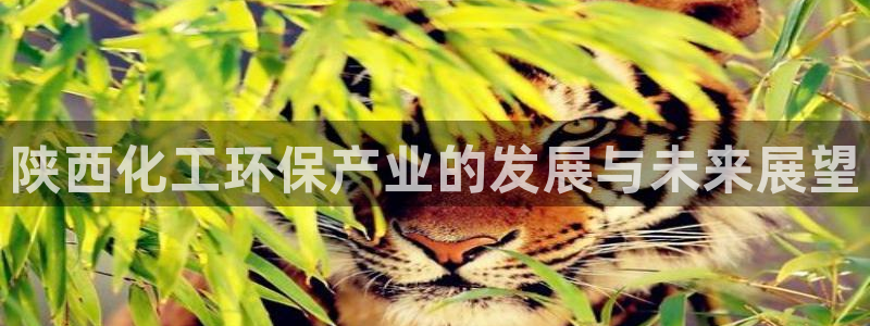 亿万手游平台官网：陕西化工环保产业的发展与未来展望