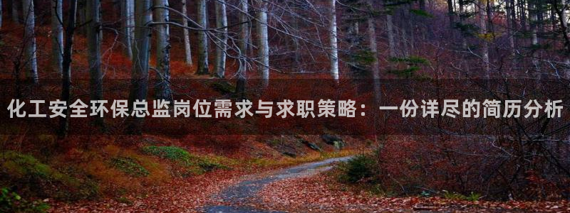 亿万先生手机客户端：化工安全环保总监岗位需求与求职策略：一份详尽的简历分析