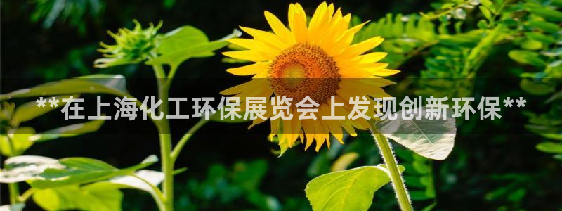 亿万先生官方网站客户端下载安装：**在上海化工环保展览会上发现创新环保**