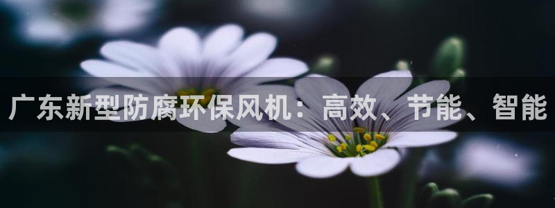 亿万番外：广东新型防腐环保风机：高效、节能、智能