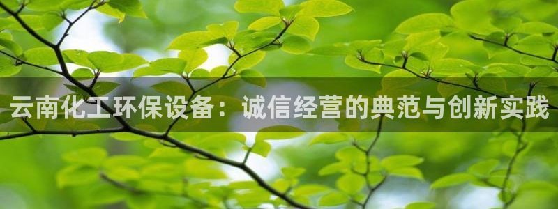 亿万解析：云南化工环保设备：诚信经营的典范与创新实践