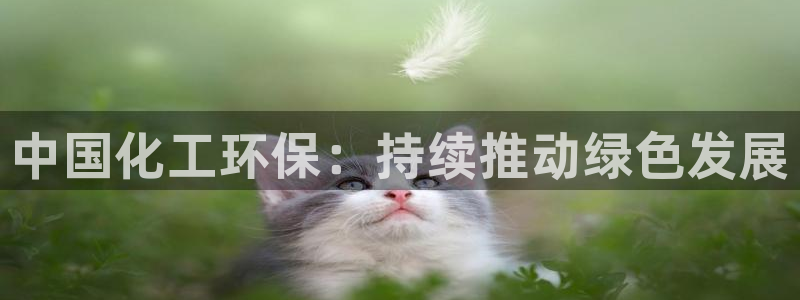亿万先生首页：中国化工环保：持续推动绿色发展