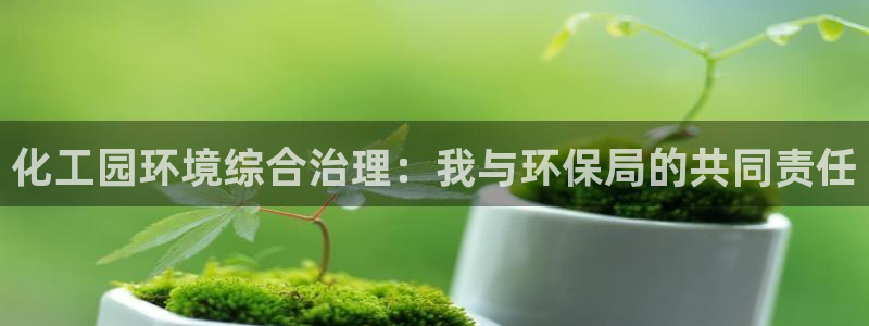 亿万先生手游下载官网：化工园环境综合治理：我与环保局的共同责任